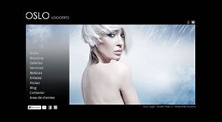 Web para Fot&oacute;grafo Oslo